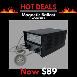 600w HPS & Metal Halide Grow Light Magnetic Ballast c/w Lead & Plug