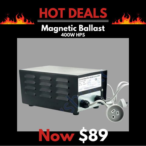 400w HPS & Metal Halide Grow Light Magnetic Ballast c/w Lead & Plug