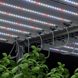 LED 18w 9000k Propagation 600mm Grow Light