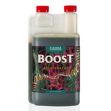 Boost Accelerator 1 Litre Canna