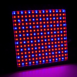 LED Grow Light 15w Panel - 310mm x 310mm