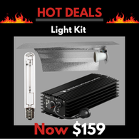 Grow Light Kit 600w Digital Ballast, Super Plant HPS Lamp & Reflector Wing 470mm x 343mm