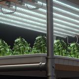 LED 25w 6500k Propagation set of 2 bars x 1120mm Grow Lights