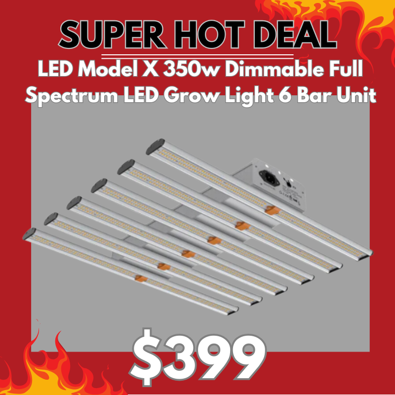 TWELVE GROW 150cm 新品 TWELVE 12snowboards KING directional camber 2021モデル