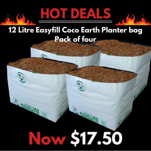 12 Litre - Pack of 4 - Coco Earth 100% Organic Easyfil Planter Bag - Galuku