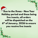 Hypermite Soil Pest Predator 1 Litre