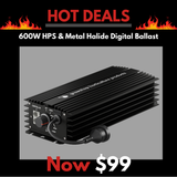 600w Digital Ballast HPS & Metal Halide- Adjustable Output 250w to 690w - GHP