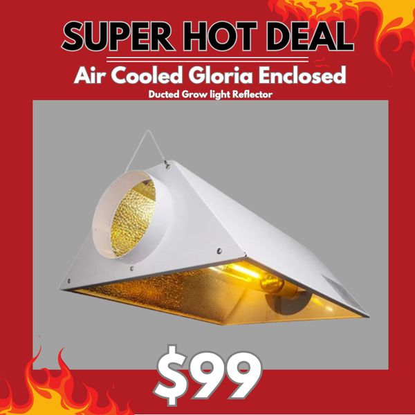 Air Cooled Gloria Enclosed - Ducted Grow light Reflector