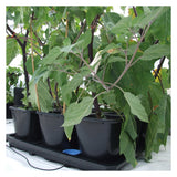 Autopot 3 x 25 Litre XL Pot Tray System