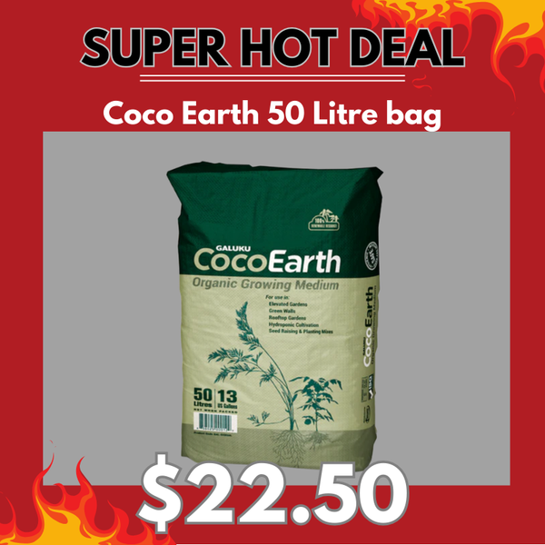 Coco Earth 100% Organic Coir Substrate 50 Litre Bag - Galuku