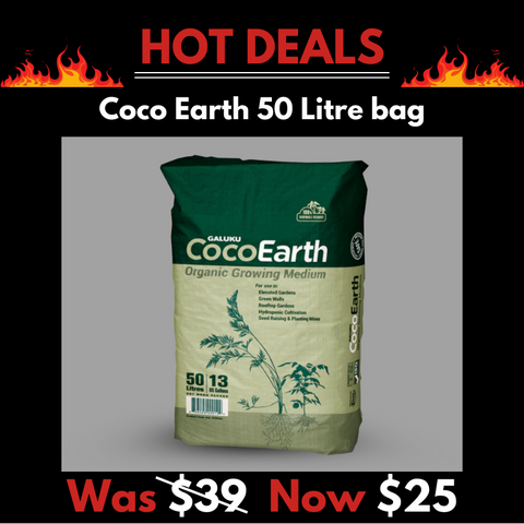 Coco Earth 50 Litre Bag - 100% Organic Coir Substrate