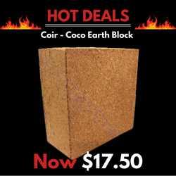 Coir - Coco Earth Block 4.5 Kg expands to 60 Litres plus hydrated - Galuku