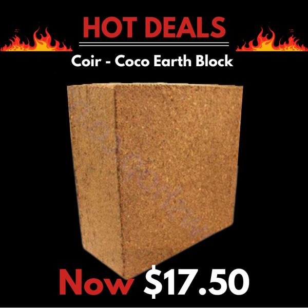 Coco Earth 4.5 Kg Block 60 Litres + Hydrated 100% Organic - Galuku