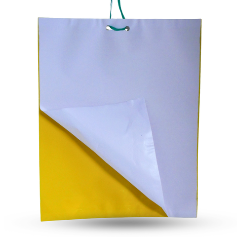 Trappit Sticky Yellow Insect Trap 200mm x 250mm Pack of 10