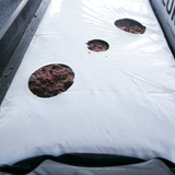 Coco Earth Strawberry Grow Slab 80% Coco 20% Coco Chip 100% Organic 1 Metre x 200mm x 80mm - Galuku