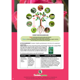 GroVentive® Garden Two Way Systemic Insecticide 200ml Grosafe