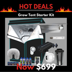 Grow Tent Starter Kit 1.2 Metre - 600w Digi Ballast Light Set - 150mm Fan & Carbon