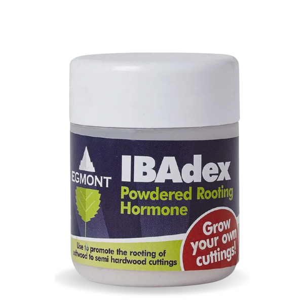 IBAdex 25 gram Powdered Cloning Rooting Hormone