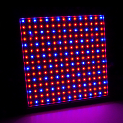 LED 15w Grow Light Panel - 310mm x 310mm