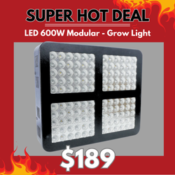 LED 600w Modular - Grow Light