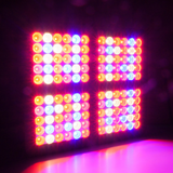 LED 600w Modular - Grow Light