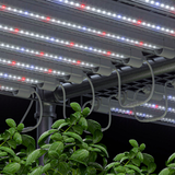 LED 25w 9000k Propagation set of 2 bars x 1120mm Grow Lights