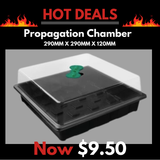 Propagation Chamber 290mm x 290mm x 120mm Single Adjustable Vent