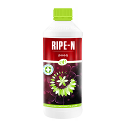 Ripe-N® Plant Flowering Finishing Formula 1 Litre Nutrifield