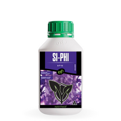 Si-Phi 250ml Nutrifield