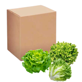 Lettuce & Leafy Greens Nutrient Formula Bulk Powder 5 Kg Mix Makes 2000 Litres
