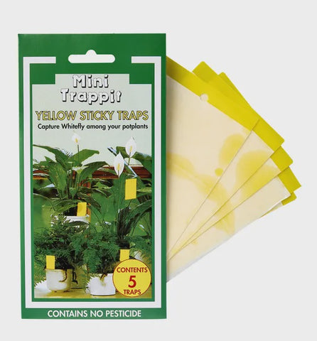 Trappit "Mini " Sticky Yellow Insect Trap 115mm x 80mm Pack of 5