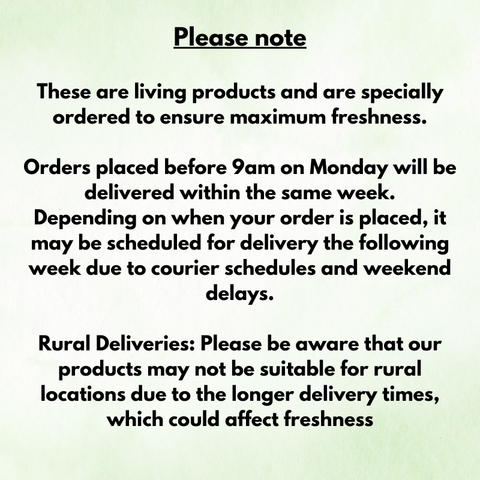 Shipping Delay