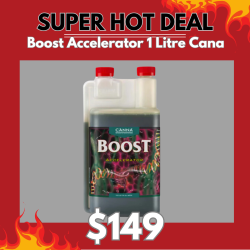 Boost Accelerator 1 Litre Canna