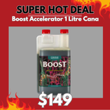 Boost Accelerator 1 Litre Canna