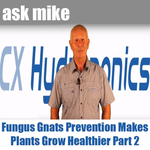 Ask Mike Fungus Gnats Prevention Makes Plants Grow Healthier Part2