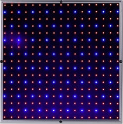 LED 15w Grow Light Panel - 310mm x 310mm